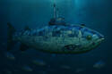 Camo Sub