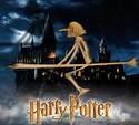 Harry Poter's Witch