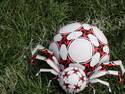 Football spider