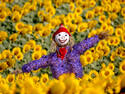 Cheerful scarecrow