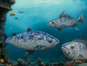 Blue depths