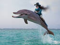 Rodeo with dolphin