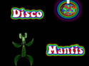 Disco Mantis