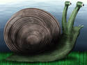 Tapering Snail??