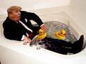 Trumps Rubber Duckies