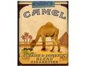 Camel meal