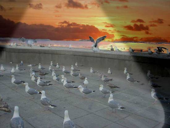 Boardwalk at Dusk