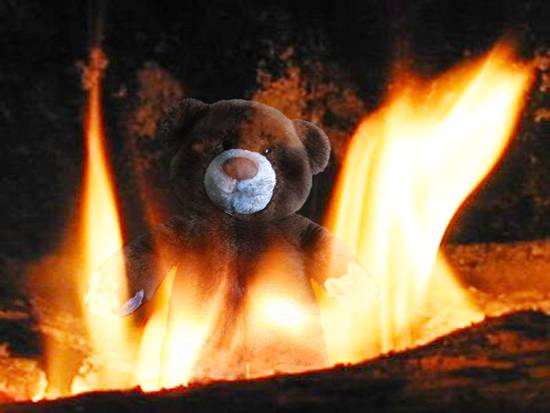 Burning Teddy