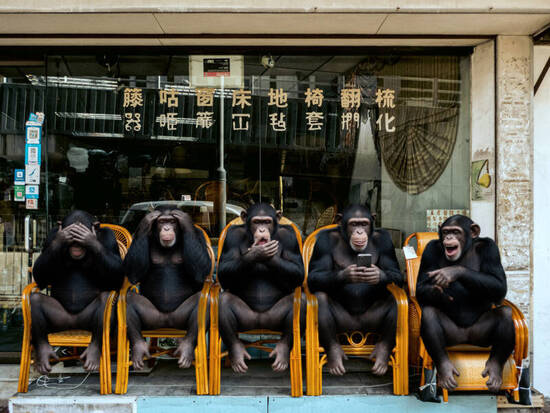 Three Monkeys +2