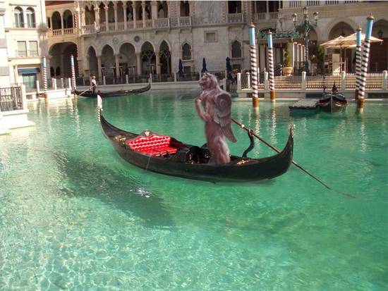 VENETIAN GONDOLIER