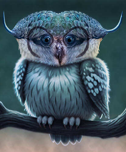 Horned Owl