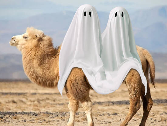 Soon Halloween