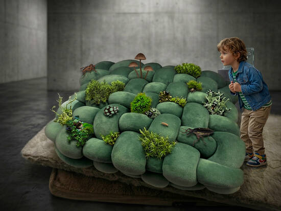 Bio-cushion experiment