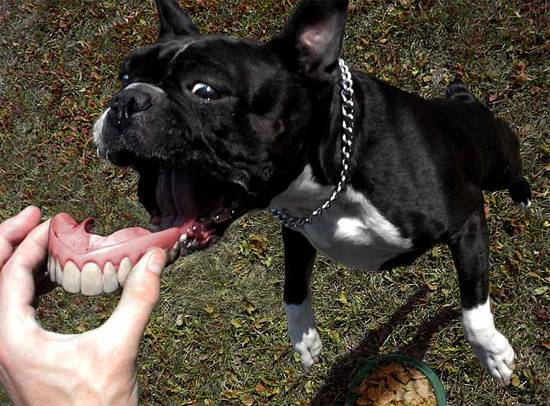 Gimme my teeth !!!