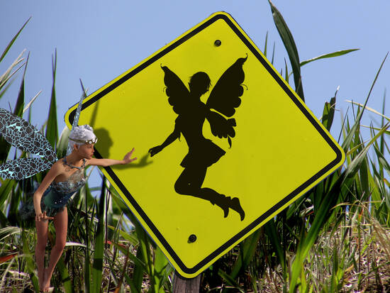 Fairy Crossing