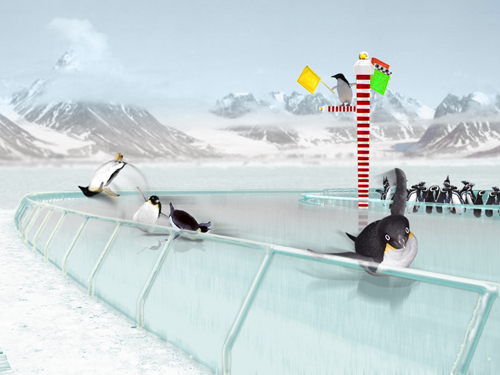 Race of the Penguins