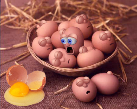 Egg Basket