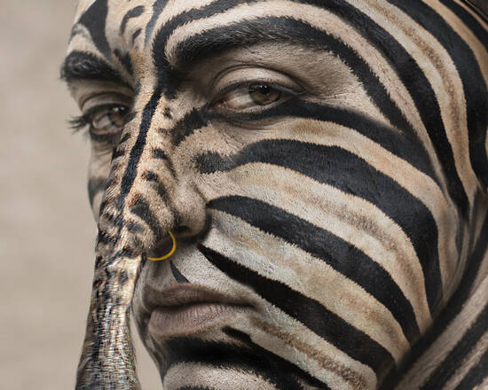Zebra Stripes Condition