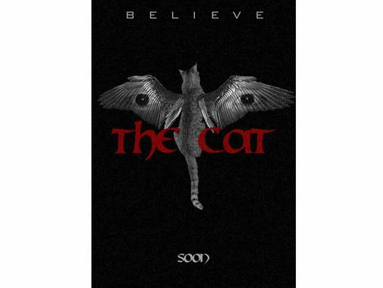 The Cat Poster