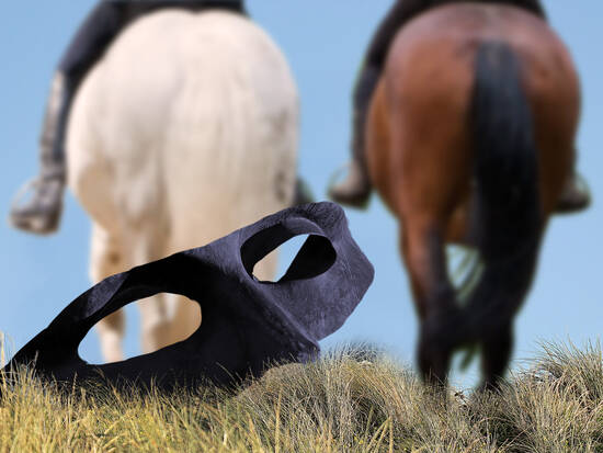 The Lone Ranger