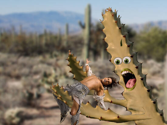 Beware googly-eyed cacti