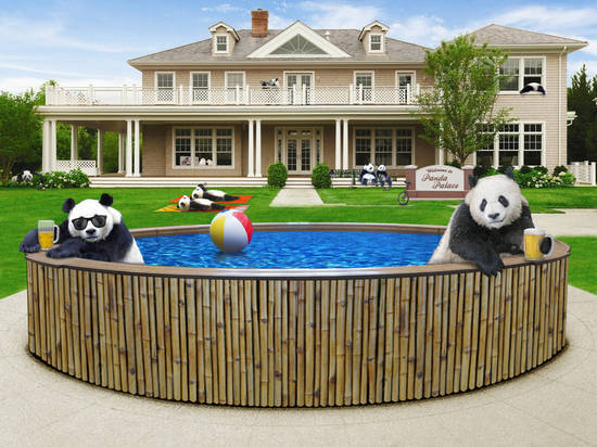 Panda Palace