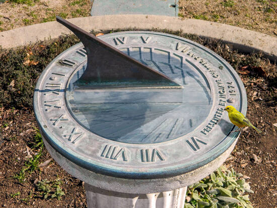 Sundial Birdbath Combo