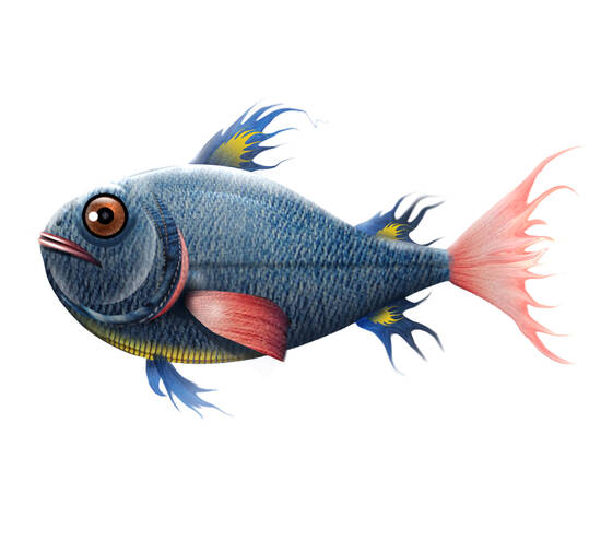 Denim Fish