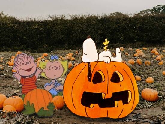 Snoopy & great pumpkin