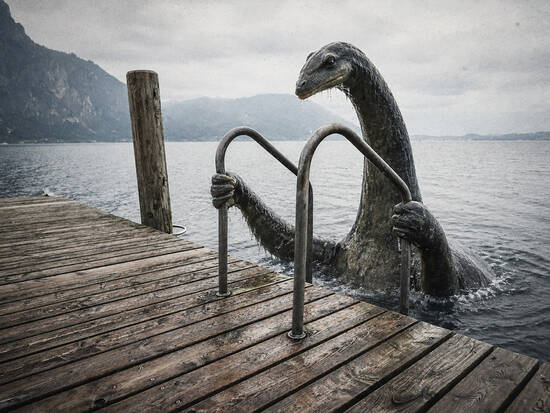 Nessie needs drying off