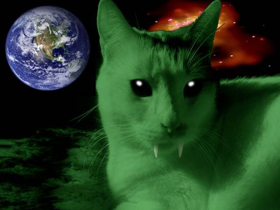 Space Kitty