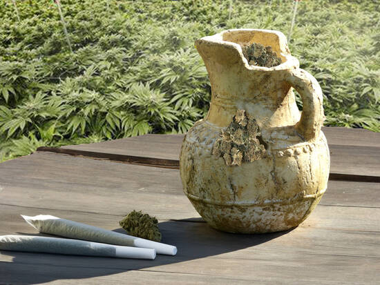 Pot in a Pot