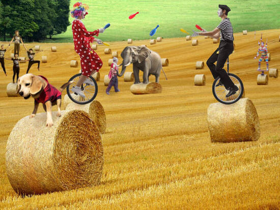 Outdoor circus
