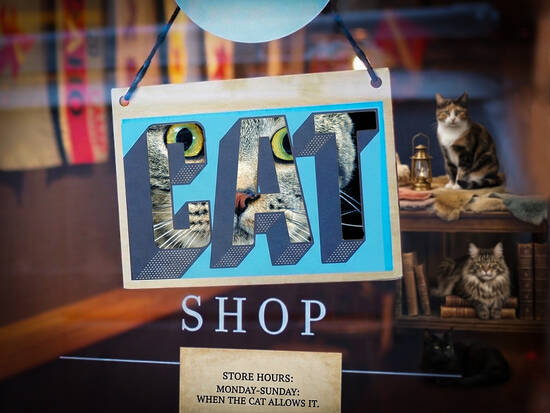 Cat shop