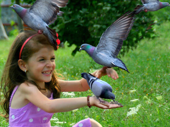 The girl feeding birds