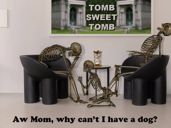 Silly Question?