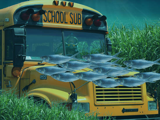 Yellow School Sub