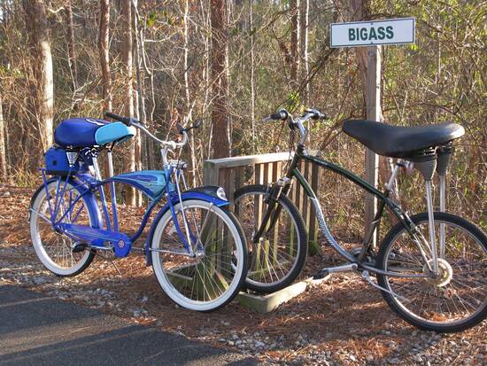 BIGASS Bike Parking Only