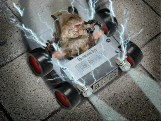 Electric mouse car