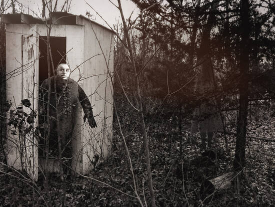 The cabin