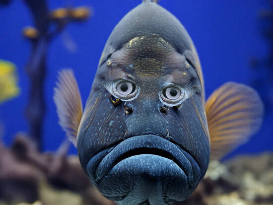 You Talkin to Me