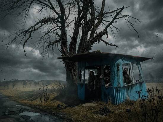 The shelter