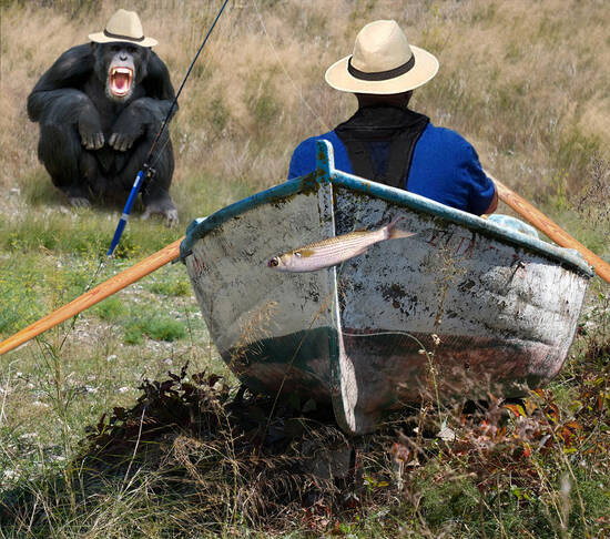 Get off my line idiot