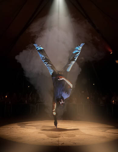 The spinning man show 
