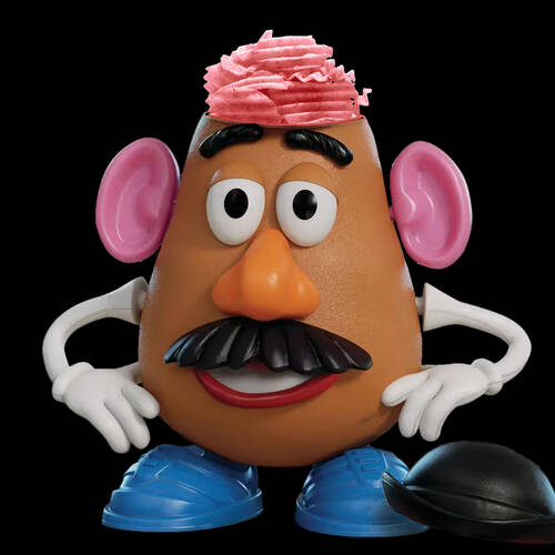Mr. Potato's Brain