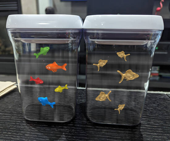 Swimmers