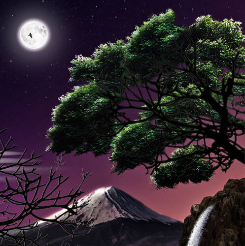 Moonlight Bonsai
