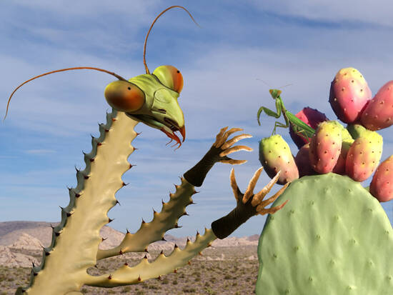 The feast