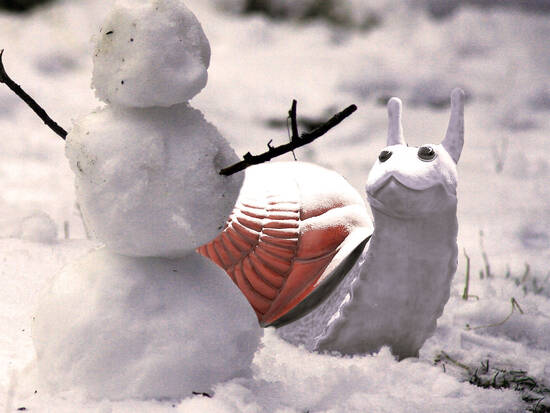 Greetings, stranger...