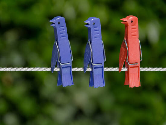 Birds on a Wire